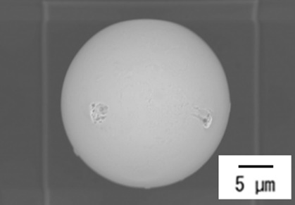 当社20μmピッチ品
