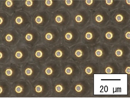 狭ピッチプローブ上面(約1500倍)