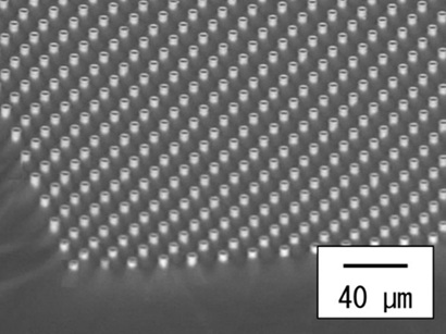 プローブアレイ外観図